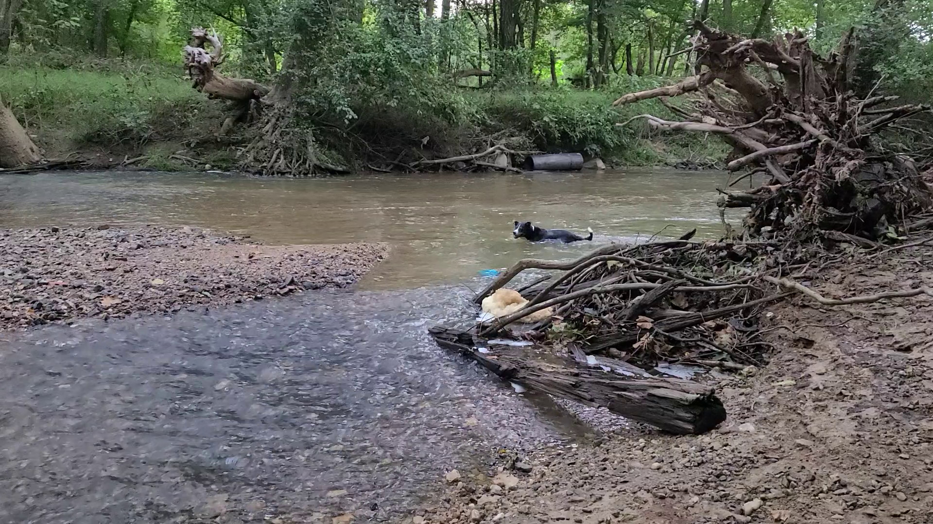 Splashing Around